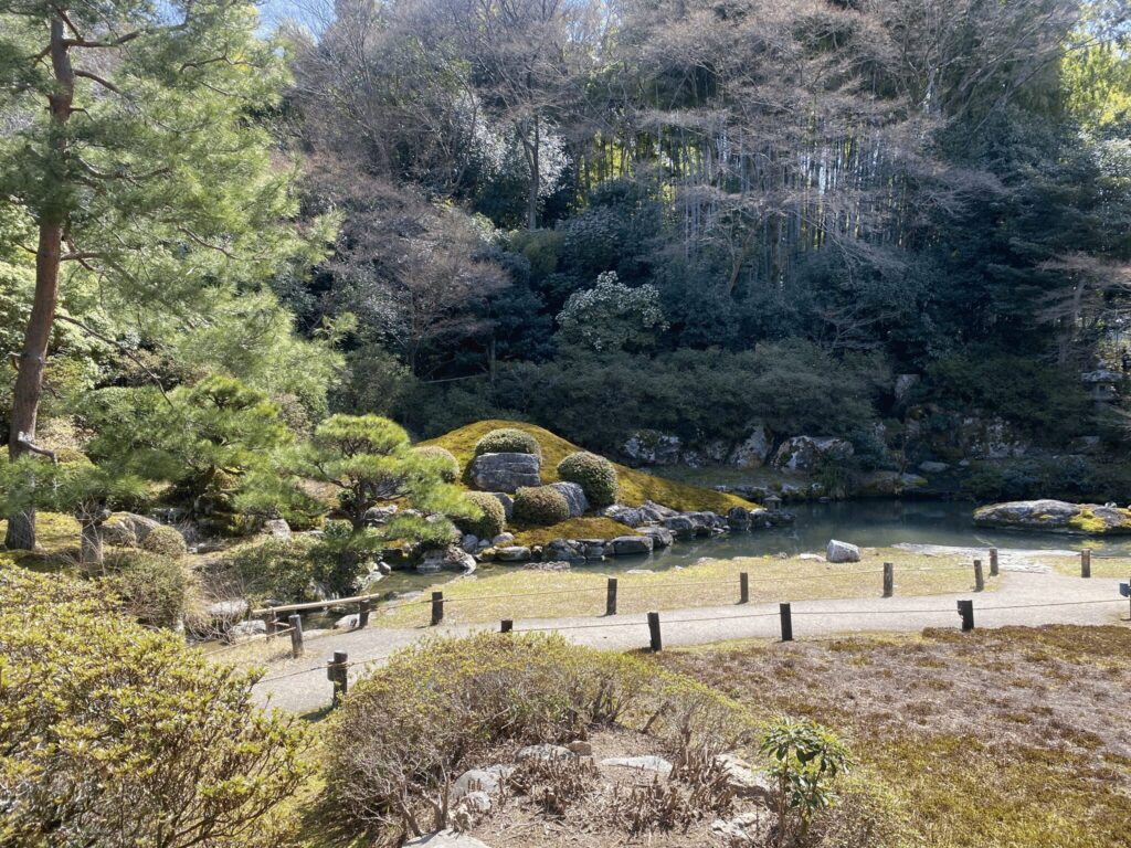 青蓮寺の庭