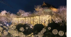 ライトアップされた東寺