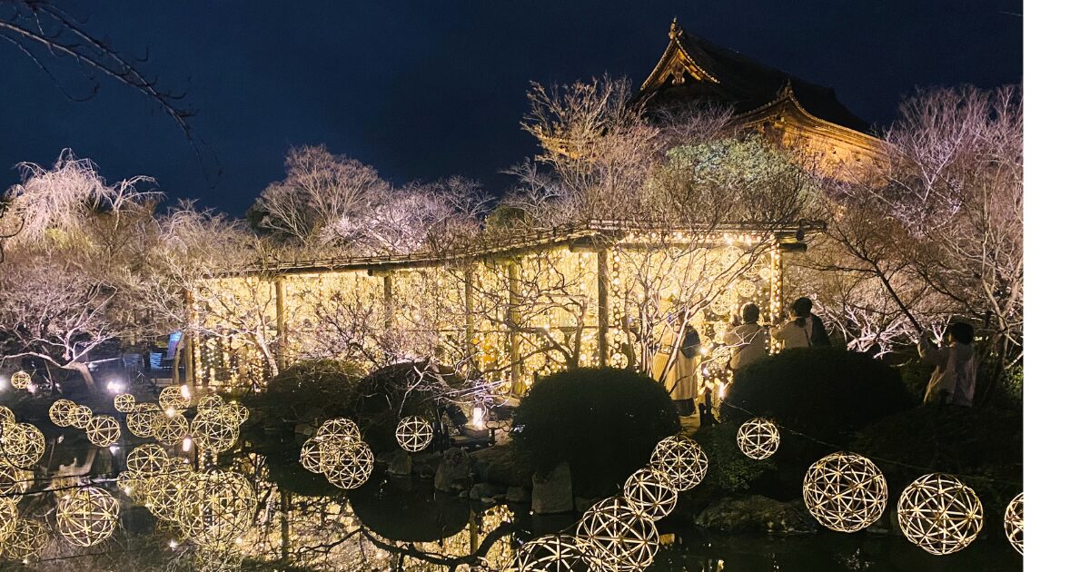 ライトアップされた東寺